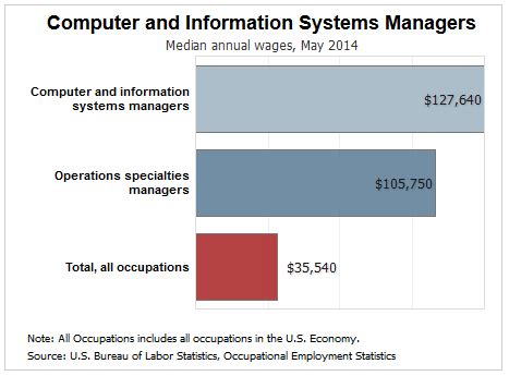 total information management salary
